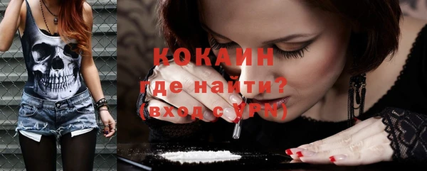 сатива Белокуриха