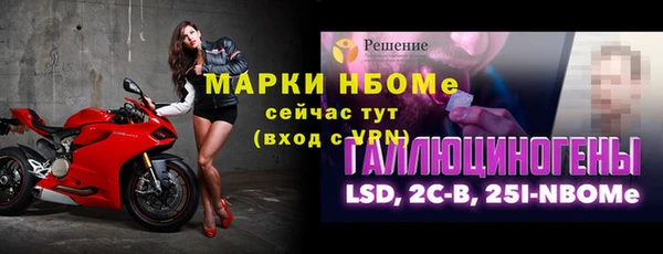 сатива Белокуриха