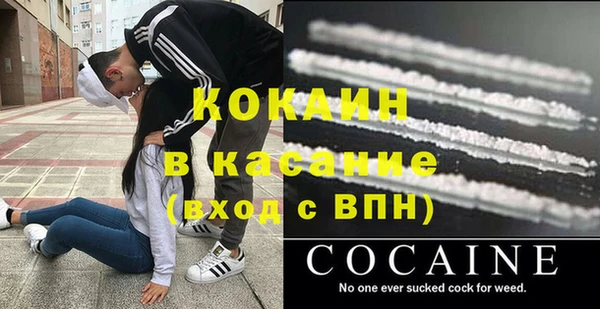 сатива Белокуриха
