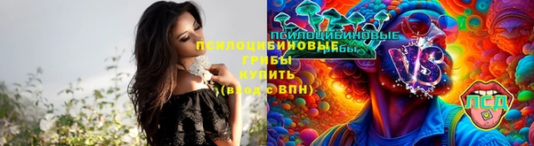 сатива Белокуриха