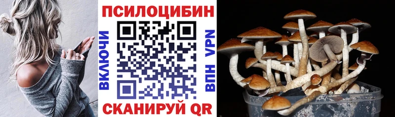 Галлюциногенные грибы Cubensis  купить наркоту  Выкса 