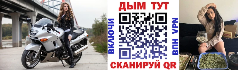 Каннабис сатива  Выкса 
